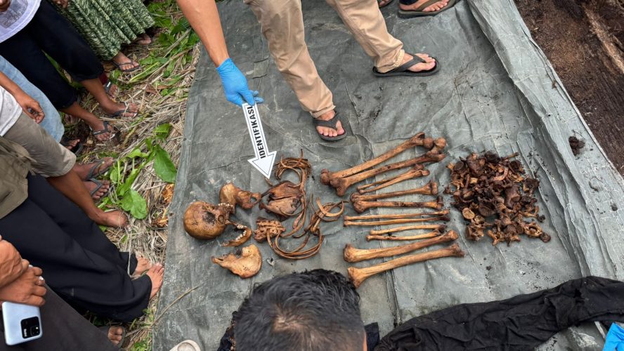 Warga Temukan Kerangka Manusia di Pohon, Polisi Polsek Firdaus Gerak Cepat Lakukan Cek Olah TKP dan Identifikasi Korban