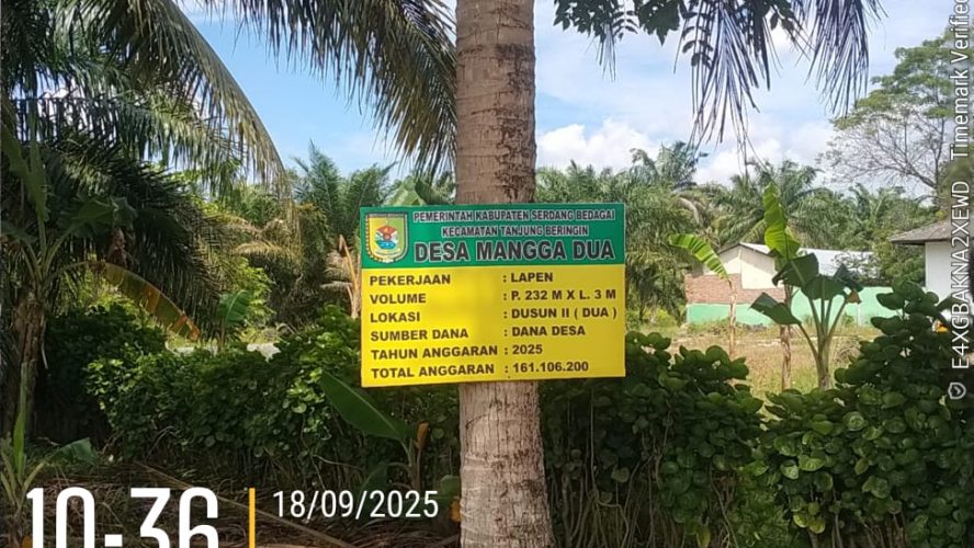 Diduga pembangunan jalan Lapen di desa mangga dua tidak sesuai dengan RAB dan melanggar undang-undang Kip.