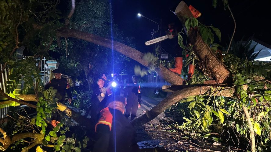 Brimob Polda Sumut Sigap Evakuasi Pohon Tumbang, Wujud Nyata Kehadiran di Tengah Masyarakat Pematangsiantar