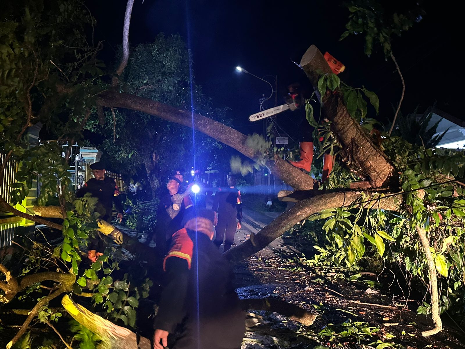Brimob Polda Sumut Sigap Evakuasi Pohon Tumbang, Wujud Nyata Kehadiran di Tengah Masyarakat Pematangsiantar