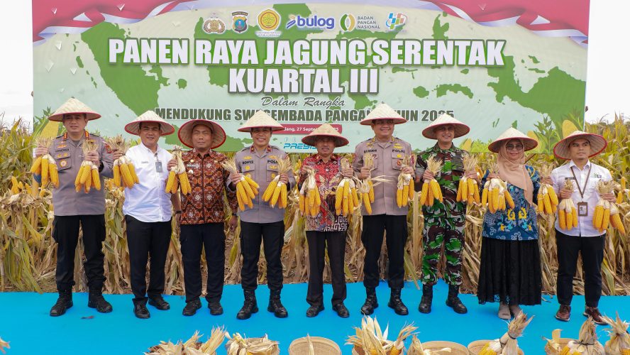 Panen Raya Jagung Kuartal III: Polda Sumut Komitmen Wujudkan Swasembada Pangan