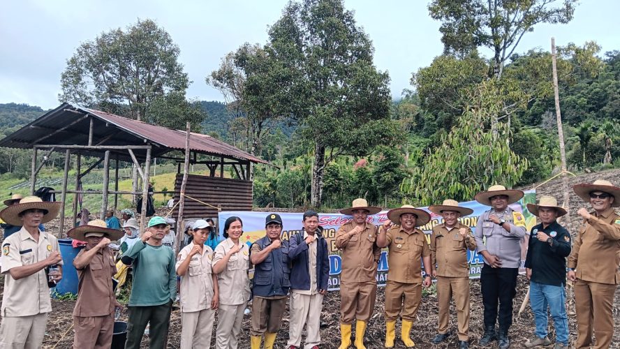 BUMDes Desa Tinada kecamatan Tinada Melaksanakan Penanaman Perdana