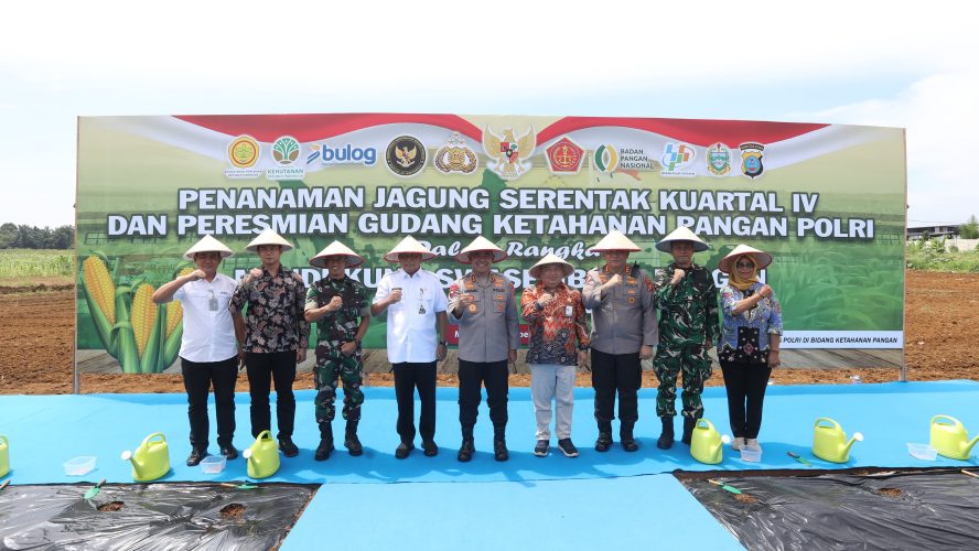 Polda Sumut Gelar Penanaman Jagung Serentak Kuartal IV Dukung Program Ketahanan Pangan Nasional