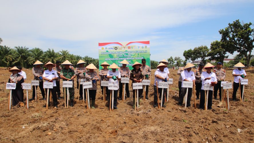 Penanaman Jagung Serentak Kuartal IV Dalam Rangka Mendukung Swasembada Pangan Tahun 2025 Polres Sergai Secara Virtual Melalui Zoom Meeting
