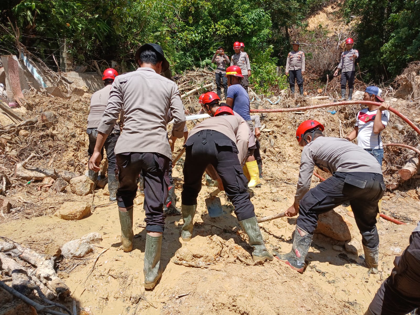 Tim K-9 Polri Maksimalkan Pencarian Korban Longsor di Sibolga, Polda Sumut : Upaya Terus Dimaksimalkan