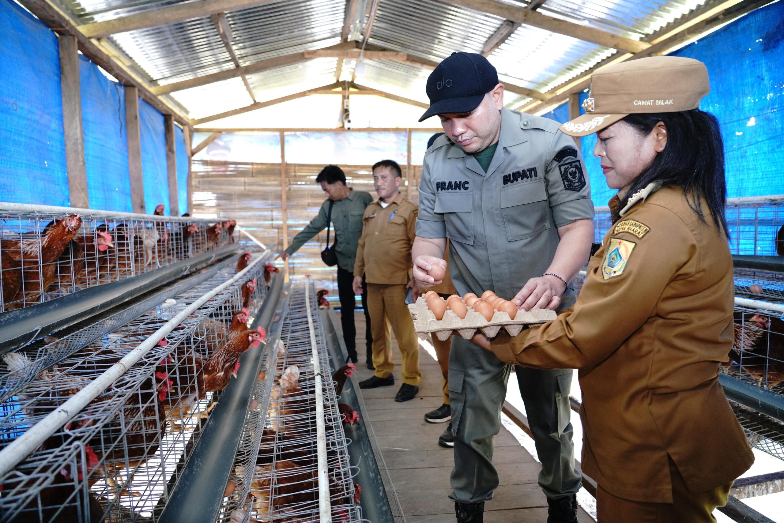 Peternakan Ayam BUMDes Salak II Rebbak Nduma Menghasilkan Telur Berkwalitas Baik