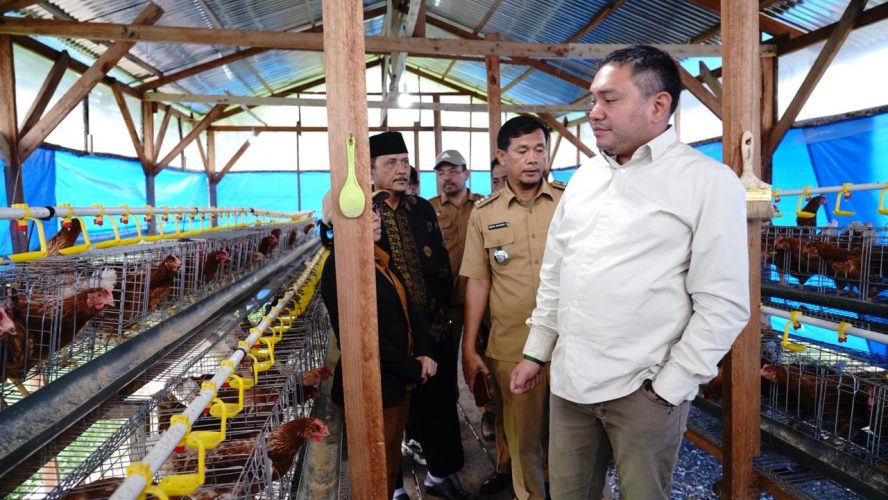 Bupati Pakpak Bharat Melihat Langsung Peternakan Ayam Petelur Milik BUM Des Delleng Lumut