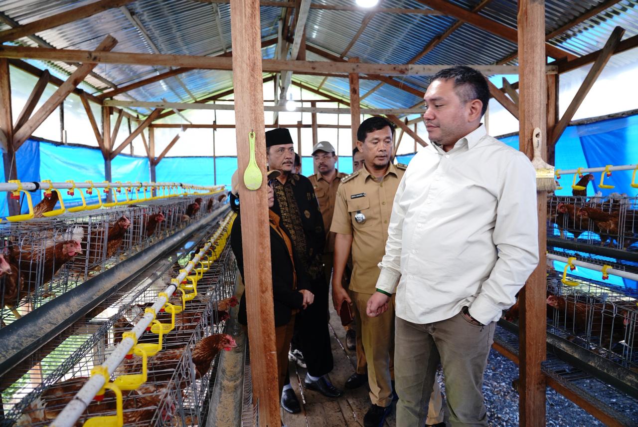 Bupati Pakpak Bharat Melihat Langsung Peternakan Ayam Petelur Milik BUM Des Delleng Lumut