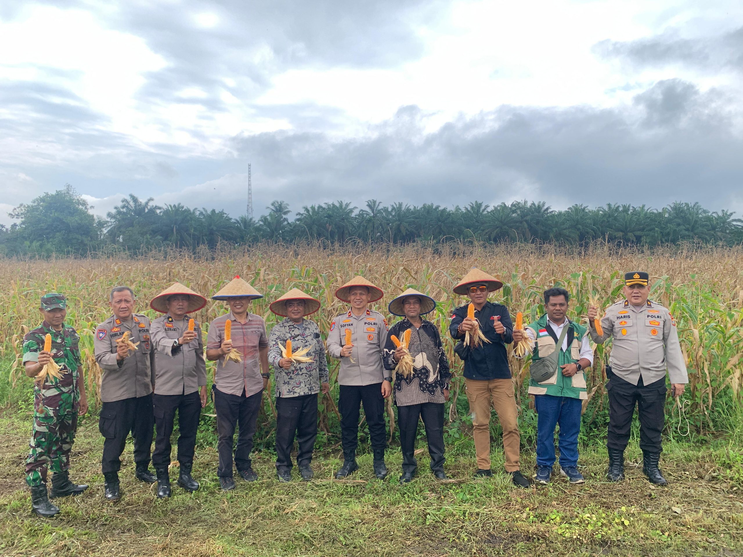POLRES BINJAI PANEN RAYA JAGUNG SERENTAK KUARTAL IV