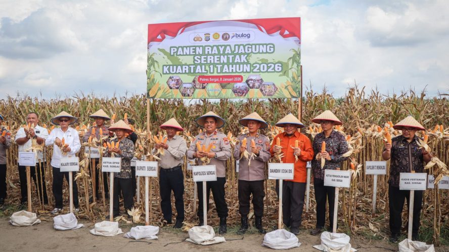 Polres Sergai Ikut Panen Jagung Serentak Kuartal I 2026, Wakapolres Dan Bupati Beri Penegasan Ketahanan Pangan