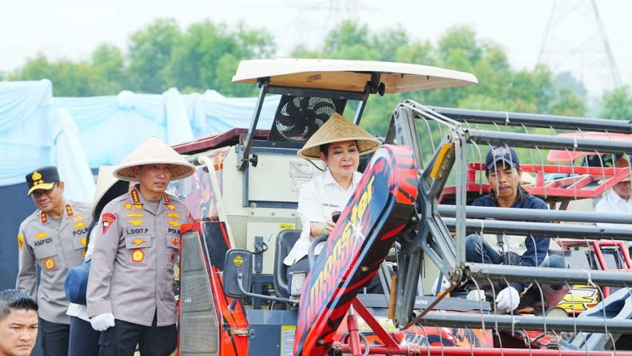 Dukung Ketahanan Pangan Nasional, Polda Sumut Dan Polres Jajaran Ikuti Panen Raya Jagung Serentak Polri
