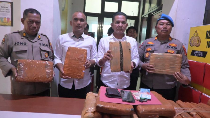 Press Release Satres Narkoba Polres Labusel Ungkap 27,869 Gram Ganja, Satu Buruh Asal Padang Ditangkap