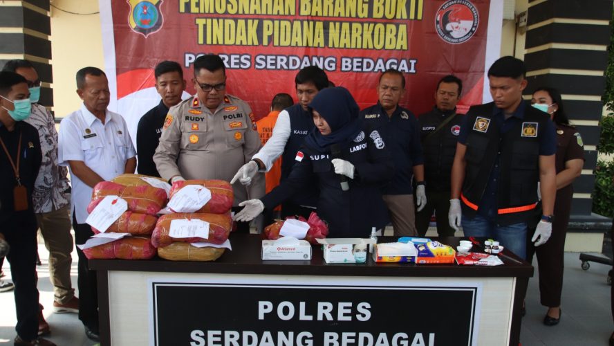 Polres Sergai Gelar Pemusnahan Barang Bukti Narkoba Jenis Ganja