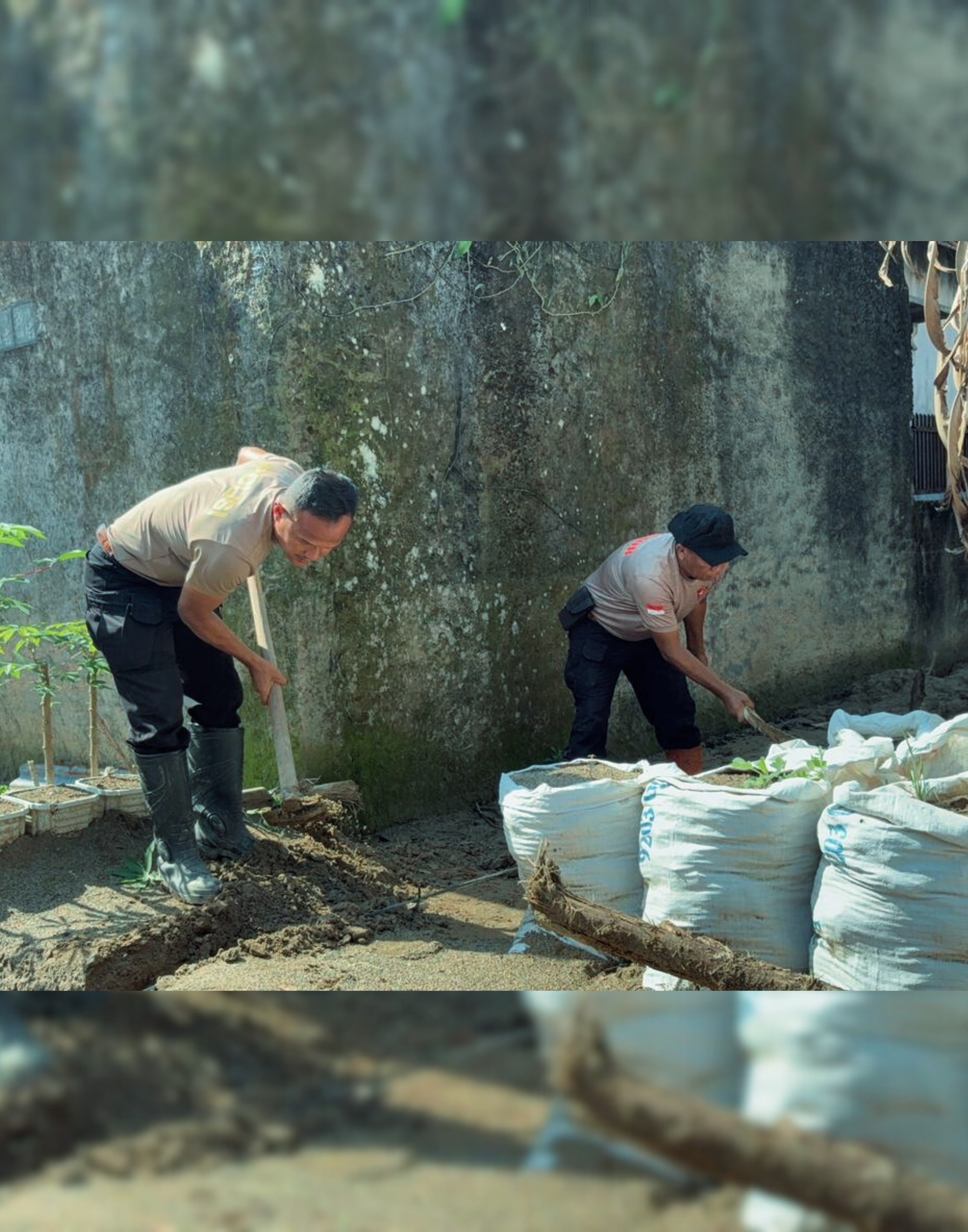 Brimob Sumut Kawal Huntara, Lingkungan Batang Toru Kembali Tertata