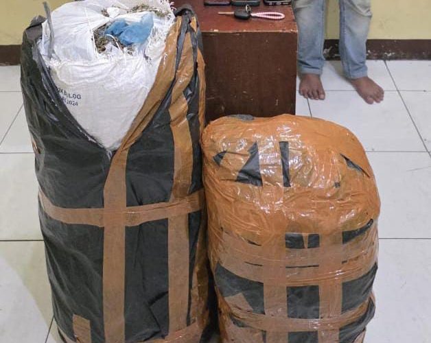 Ditresnarkoba Polda Sumut Gagalkan Peredaran 20 Kg Ganja Asal Aceh, Tiga Pelaku Diamankan di Medan