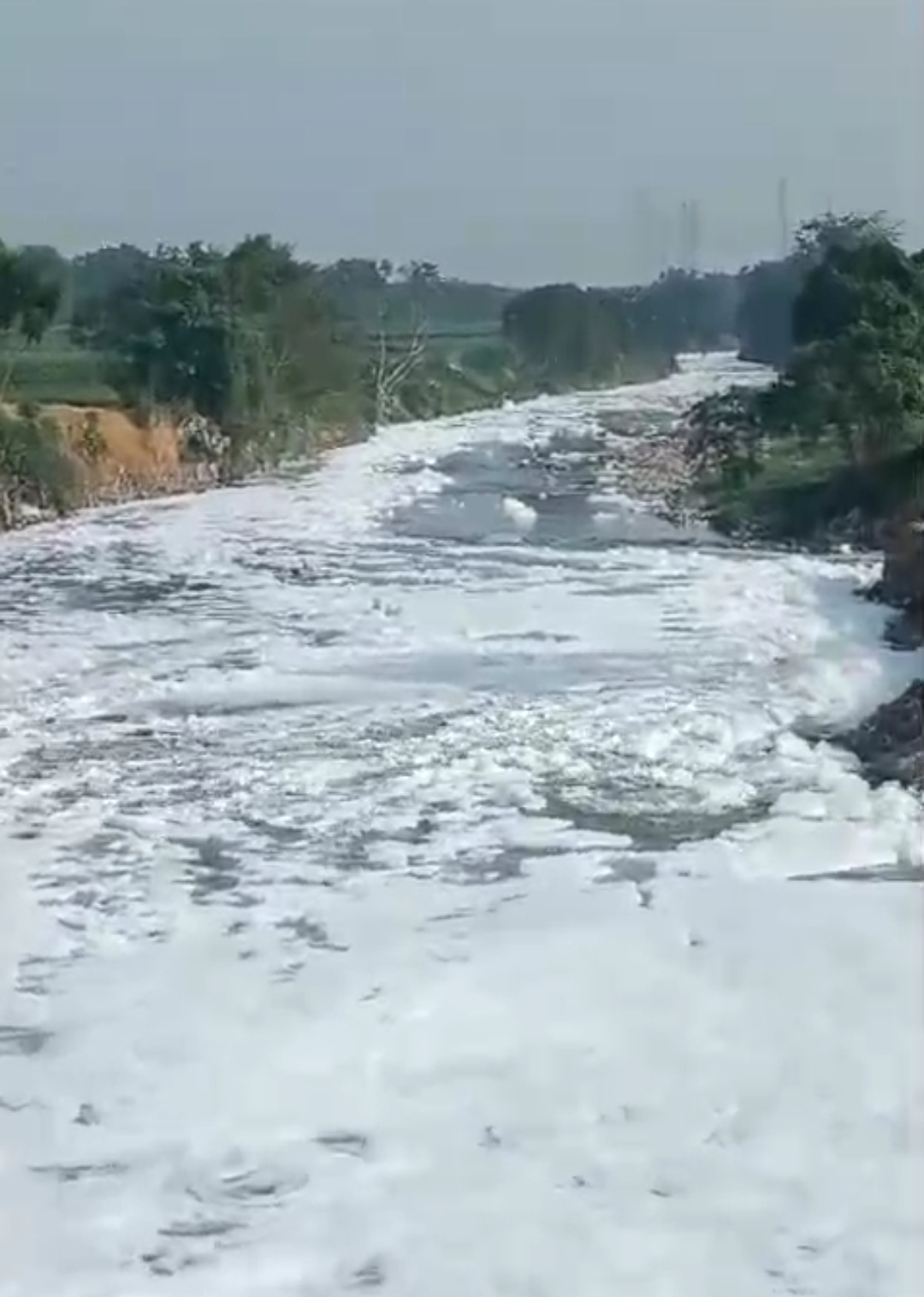 Penemuan Limbah Beracun di Sungai Sungai Percut, Pihak Terkait Diminta Tindak Lanjuti