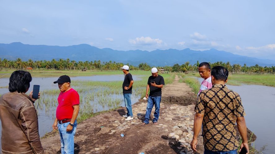 Gabungan wartawan di Korwasis Madina Soroti Lambatnya Penanganan Tanggul Aek Muara Sada yang Jebol, yang berdapkak 830 Hektar Sawah Terancam Puso