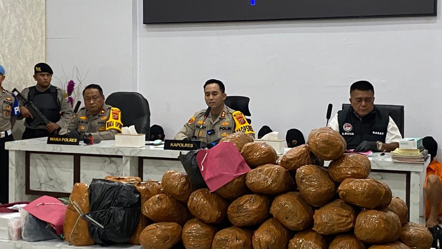 Polres Madina Rilis 11 Kasus Narkotika Selama Februari 2026, 15 Tersangka Diamankan