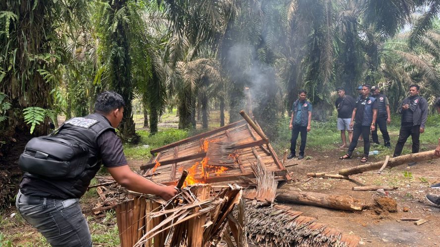 Polres Binjai Kembali Grebek Dan Musnahkan Barak Narkoba Di Kecamatan Selesai