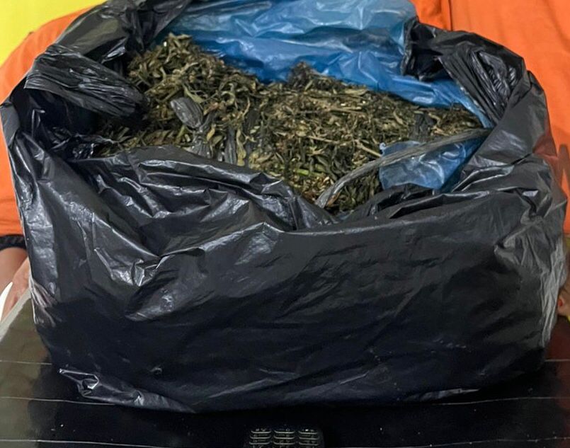 Satresnarkoba Polres Tapsel Gagalkan Peredaran 3 Kg Ganja, Dua Pelaku Ditangkap Gunakan Becak Motor