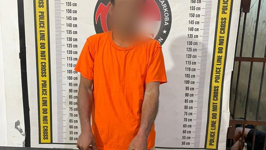 Sempat Melawan Pakai Gunting, Pengedar Sabu Diringkus Polisi Di Kebun Sawit Raya Kahean
