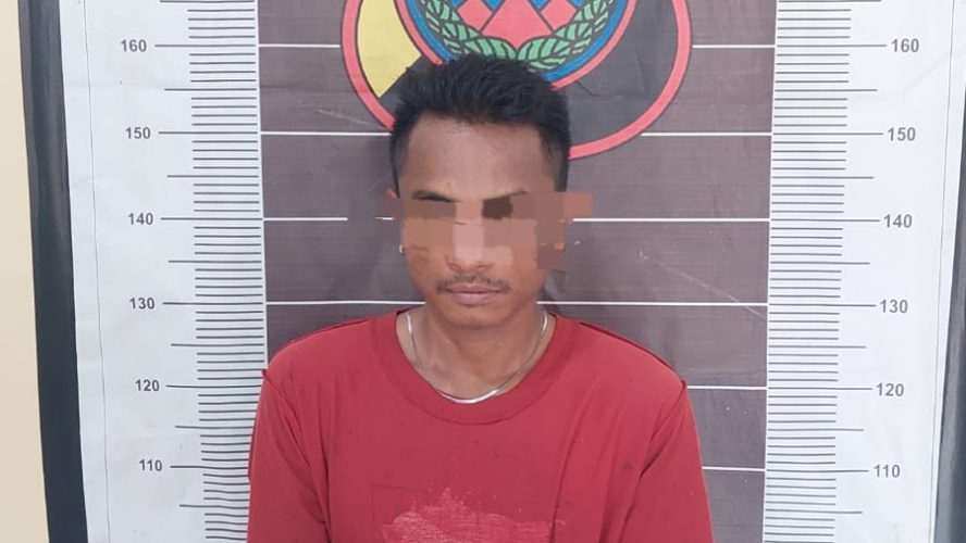 Unit Reskrim Polsek Lima Puluh Amankan Pelaku Kepemilikan Narkotika Jenis Ganja