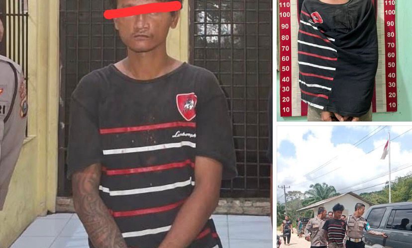 POLRES TAPTENG UNGKAP KASUS PENCABULAN ANAK DI KECAMATAN BADIRI, PELAKU BERHASIL DIAMANKAN