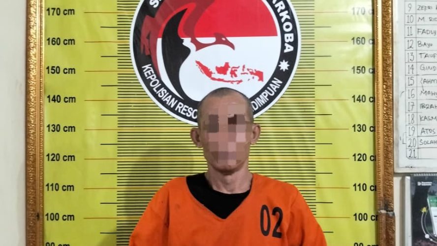 Pria 53 Tahun Di Padangsidimpuan Ditangkap Saat Bawa 900 Gram Ganja Di Jalinsum