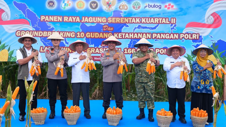 Polda Sumut Ikuti Panen Raya Jagung Serentak Polri Bersama Presiden Prabowo, Dukung Ketahanan Pangan Nasional