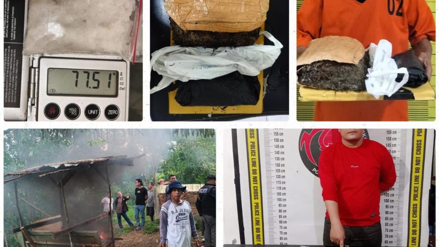 5 Hari Tanpa Henti, Polda Sumut Ringkus 342 Pelaku Narkoba Dan Gempur 57 Sarang Peredaran