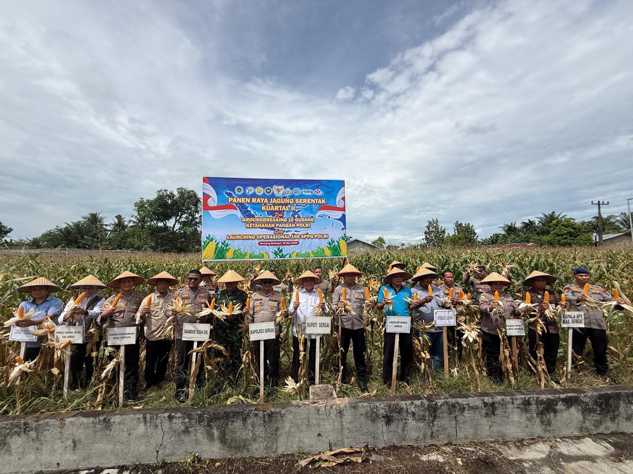 Sinergi Jaga Pangan, Polres Sergai Gelar Panen Raya Jagung Dan Sukseskan Program Ketahanan Pangan Polri