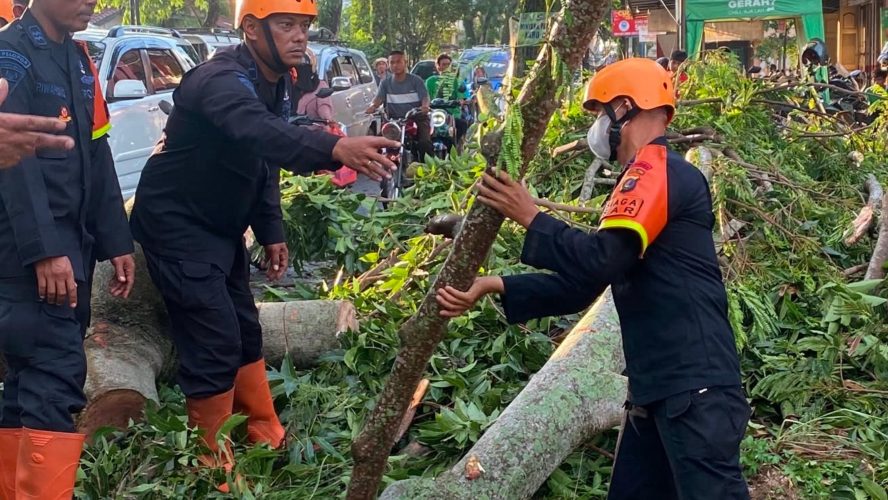 Pohon Tumbang Tutup Akses Jalan, Brimob Sumut Bergerak Cepat Bantu Warga Pematangsiantar