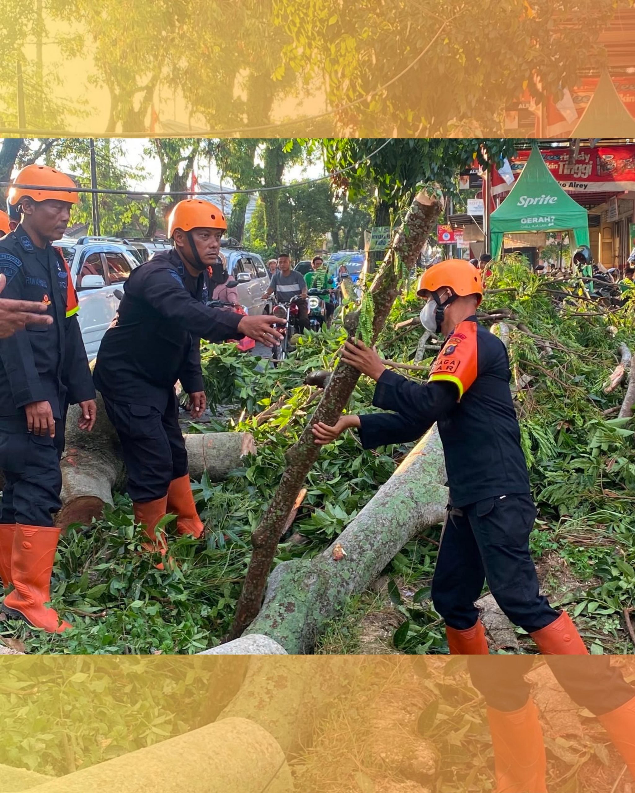Pohon Tumbang Tutup Akses Jalan, Brimob Sumut Bergerak Cepat Bantu Warga Pematangsiantar
