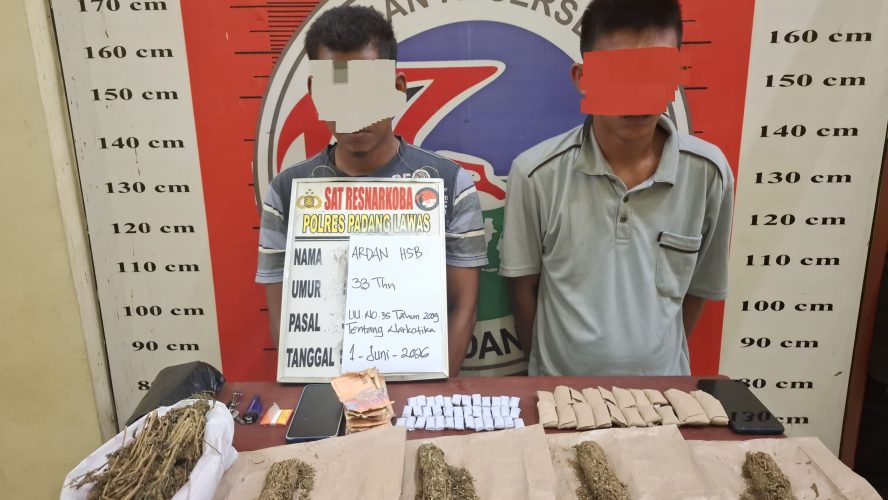 Satres Narkoba Polres Padang Lawas Tangkap Dua Terduga Pengedar Ganja, Ratusan Gram Barang Bukti Disita