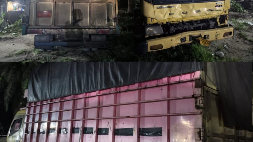Laka Lantas “Laga Kambing” Di Jalinsum Sei Bamban, Pengendara Motor Alami Patah Tulang