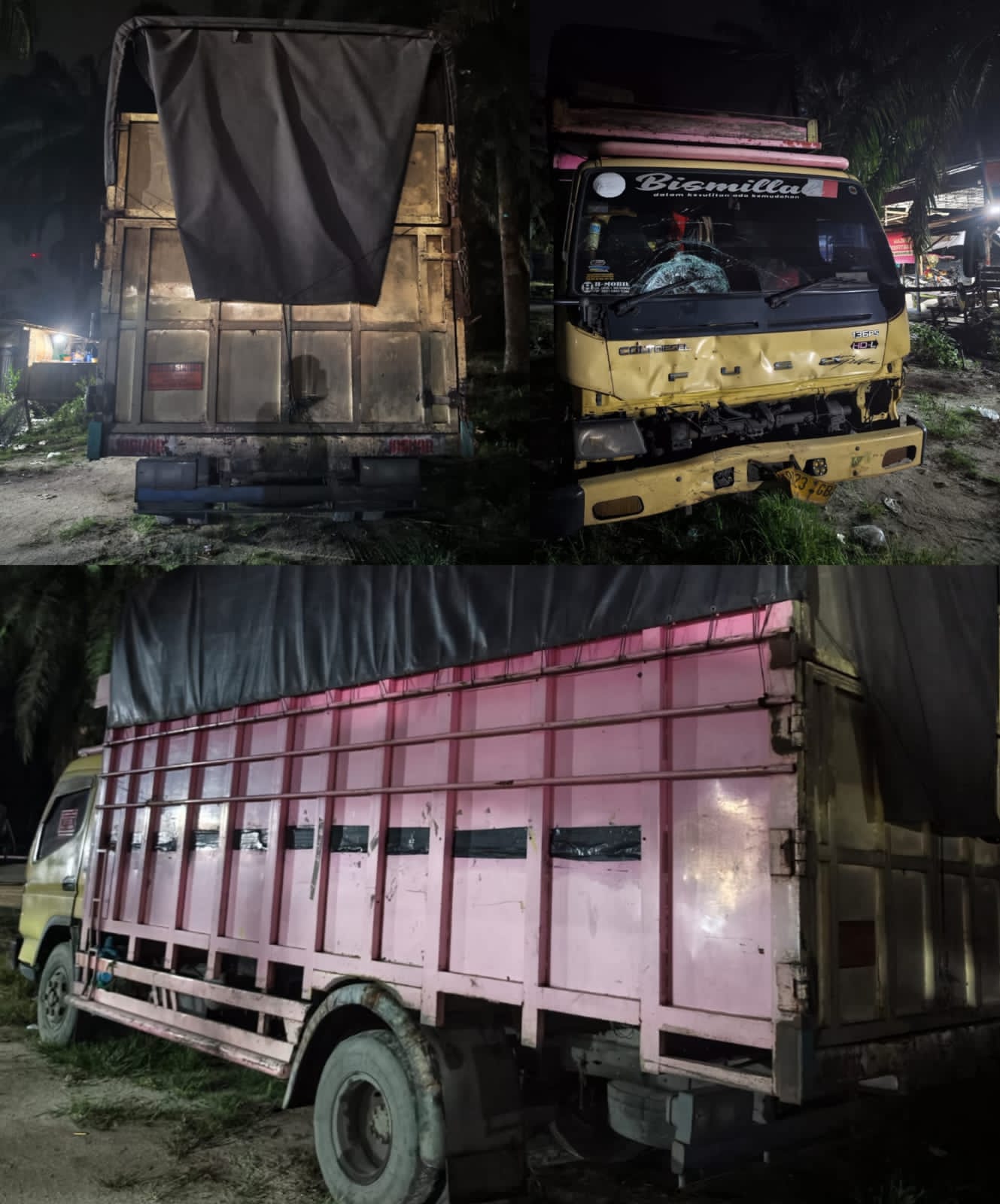 Laka Lantas “Laga Kambing” Di Jalinsum Sei Bamban, Pengendara Motor Alami Patah Tulang